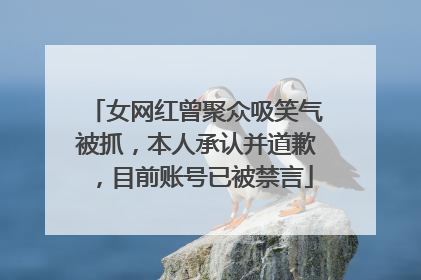 女网红曾聚众吸笑气被抓，本人承认并道歉，目前账号已被禁言