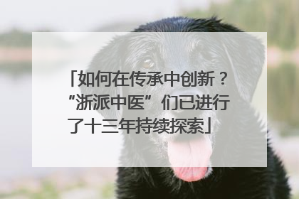 如何在传承中创新？“浙派中医”们已进行了十三年持续探索