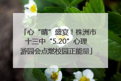 心“晴”盛宴！株洲市十三中“5.20”心理游园会点燃校园正能量