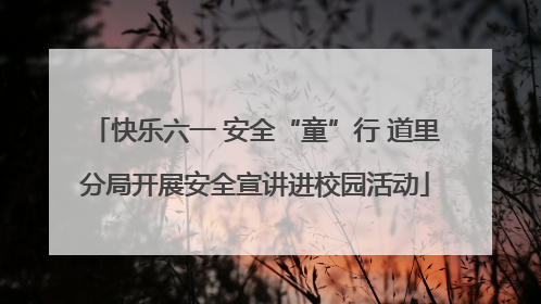 快乐六一 安全“童”行 道里分局开展安全宣讲进校园活动