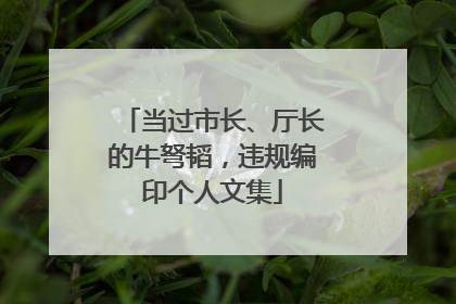 当过市长、厅长的牛弩韬，违规编印个人文集