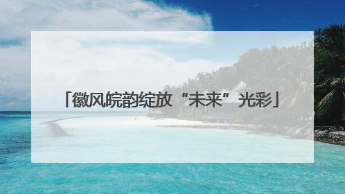 徽风皖韵绽放“未来”光彩