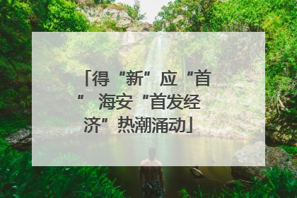 得“新”应“首” 海安“首发经济”热潮涌动