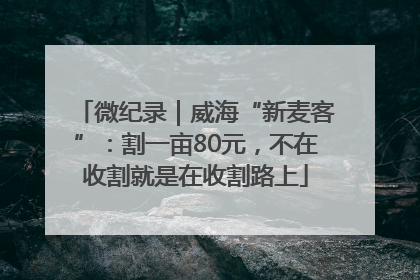 微纪录｜威海“新麦客”：割一亩80元，不在收割就是在收割路上