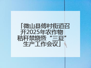 微山县傅村街道召开2025年农作物秸秆禁烧暨“三夏”生产工作会议