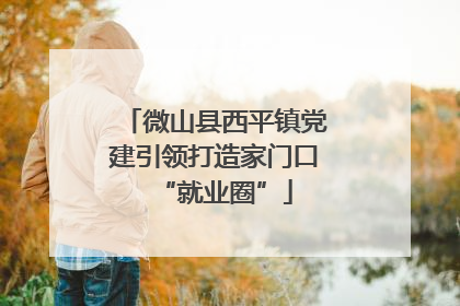 微山县西平镇党建引领打造家门口“就业圈”