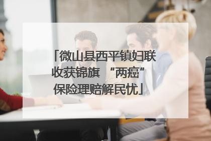 微山县西平镇妇联收获锦旗 “两癌”保险理赔解民忧