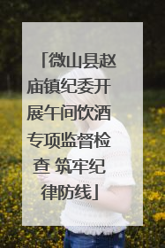 微山县赵庙镇纪委开展午间饮酒专项监督检查 筑牢纪律防线