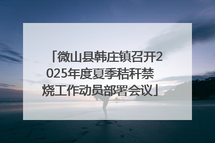 微山县韩庄镇召开2025年度夏季秸秆禁烧工作动员部署会议