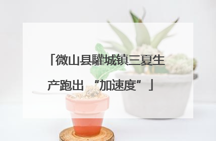 微山县驩城镇三夏生产跑出 “加速度”