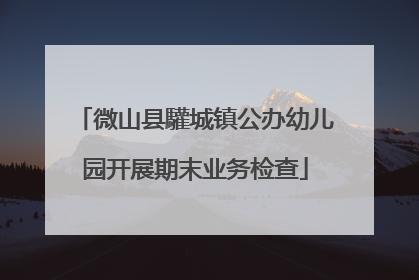 微山县驩城镇公办幼儿园开展期末业务检查