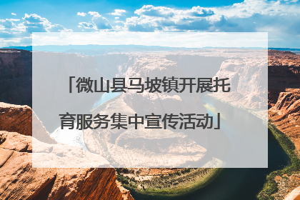 微山县马坡镇开展托育服务集中宣传活动