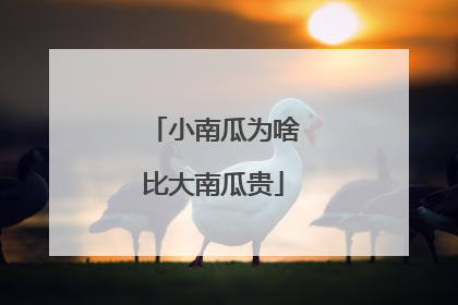 小南瓜为啥比大南瓜贵