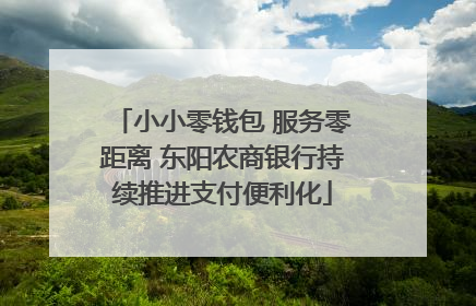 小小零钱包 服务零距离 东阳农商银行持续推进支付便利化