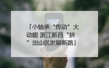 小轴承“传动”大动能 浙江新昌“拼”出山区发展新路