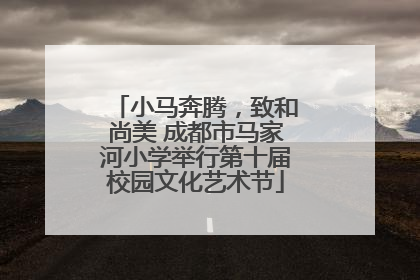 小马奔腾，致和尚美 成都市马家河小学举行第十届校园文化艺术节