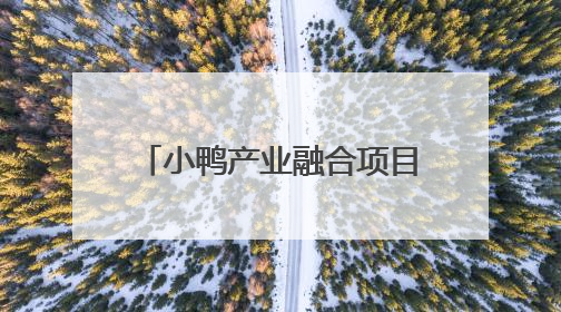 小鸭产业融合项目：通过“厂区改造+产业置换”，盘活存量，增值增效