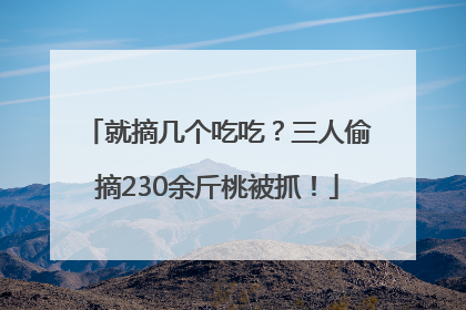 就摘几个吃吃？三人偷摘230余斤桃被抓！