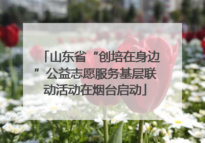 山东省“创培在身边”公益志愿服务基层联动活动在烟台启动