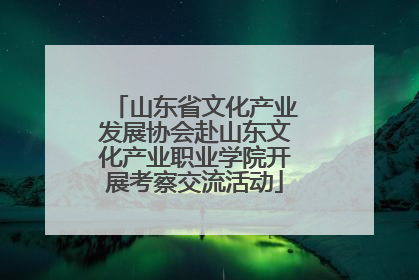山东省文化产业发展协会赴山东文化产业职业学院开展考察交流活动
