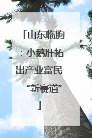 山东临朐：小鹅肝拓出产业富民“新赛道”