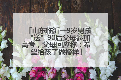 山东临沂一9岁男孩“送”90后父母参加高考，父母回应称：希望给孩子做榜样