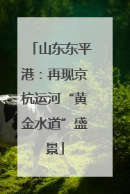 山东东平港：再现京杭运河“黄金水道”盛景