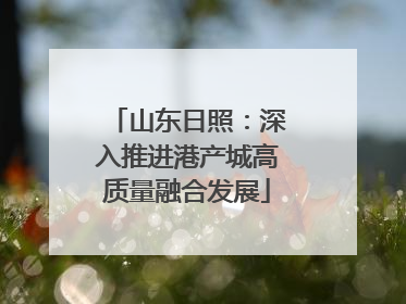 山东日照：深入推进港产城高质量融合发展