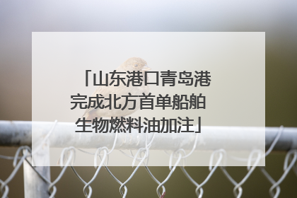 山东港口青岛港完成北方首单船舶生物燃料油加注