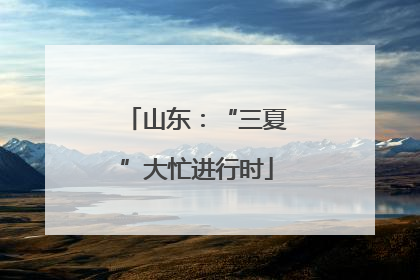 山东：“三夏”大忙进行时