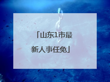 山东1市最新人事任免