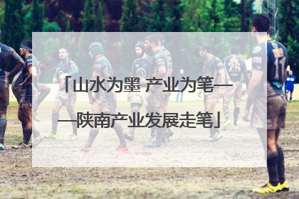 山水为墨 产业为笔——陕南产业发展走笔