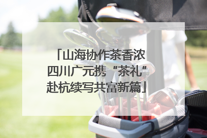 山海协作茶香浓 四川广元携“茶礼”赴杭续写共富新篇
