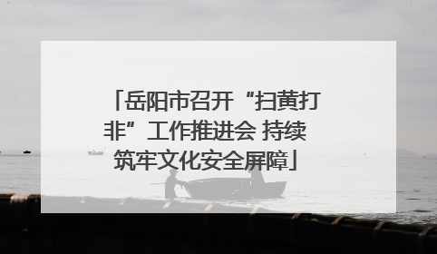 岳阳市召开“扫黄打非”工作推进会 持续筑牢文化安全屏障
