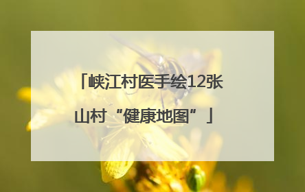 峡江村医手绘12张山村“健康地图”