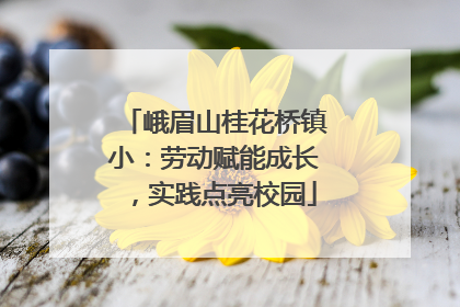峨眉山桂花桥镇小：劳动赋能成长，实践点亮校园