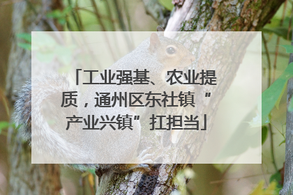 工业强基、农业提质，通州区东社镇“产业兴镇”扛担当
