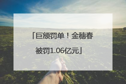 巨额罚单！金穗春被罚1.06亿元
