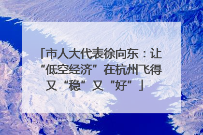 市人大代表徐向东：让“低空经济”在杭州飞得又“稳”又“好”