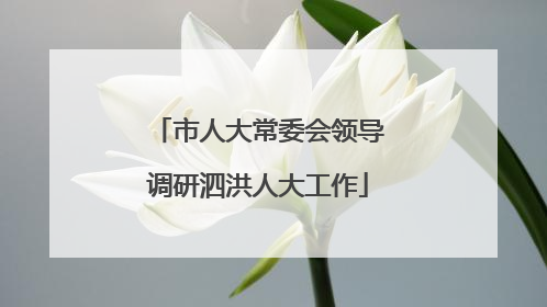 市人大常委会领导调研泗洪人大工作