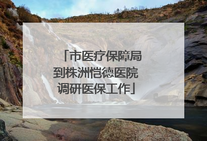 市医疗保障局到株洲恺德医院调研医保工作