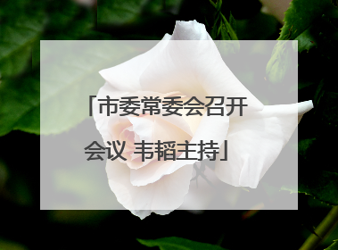 市委常委会召开会议 韦韬主持