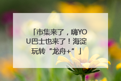 市集来了，嗨YOU巴士也来了！海淀玩转“龙舟+”