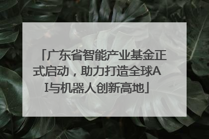 广东省智能产业基金正式启动，助力打造全球AI与机器人创新高地