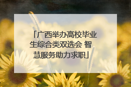 广西举办高校毕业生综合类双选会 智慧服务助力求职