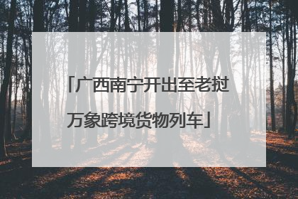 广西南宁开出至老挝万象跨境货物列车