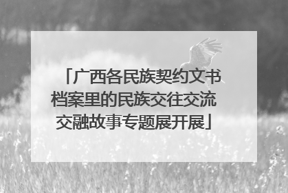 广西各民族契约文书档案里的民族交往交流交融故事专题展开展