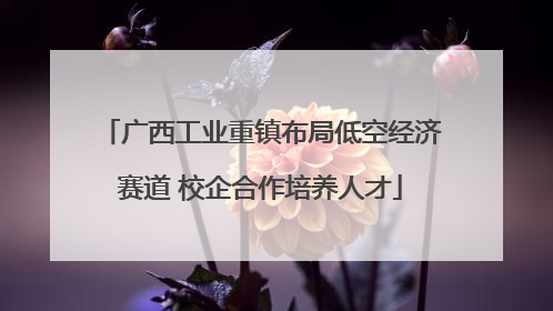 广西工业重镇布局低空经济赛道 校企合作培养人才