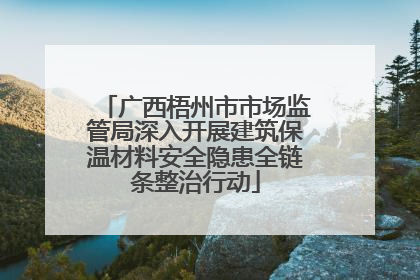 广西梧州市市场监管局深入开展建筑保温材料安全隐患全链条整治行动