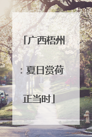 广西梧州：夏日赏荷正当时